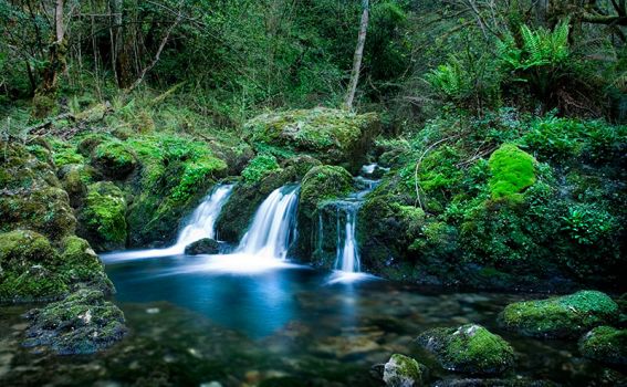 manantial-de-obaya_87674