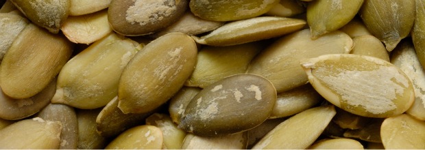 calabaza semillas 620*220