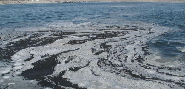 estela blanca en el mar 620*300