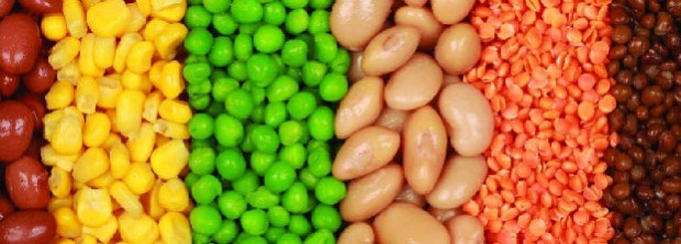 granos multicolores 620223