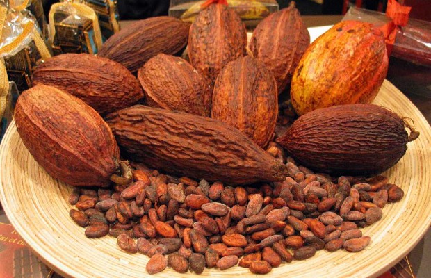 cocoa beans 620-400