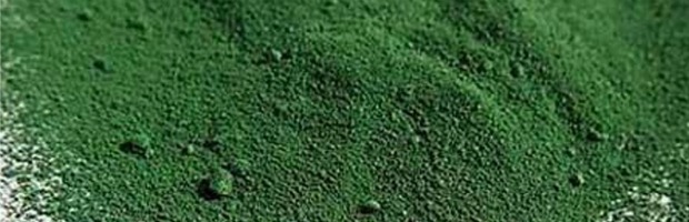 espirulina en polvo 620200