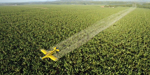 PESTICIDE fumigation plane 600300