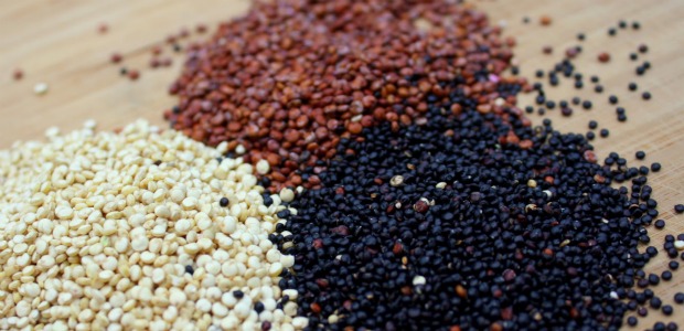 quinoa kinds 620-300