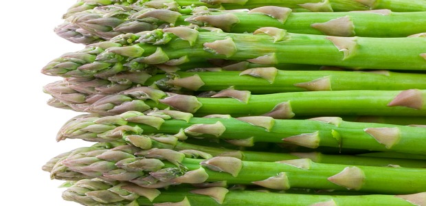 Asparagus raw 620+300