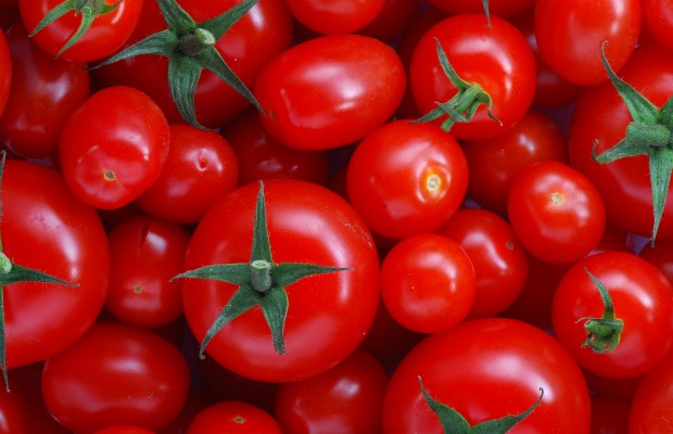 TOMATES maduros 620+400