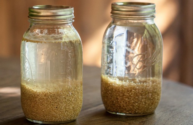 soaking grains 620+400