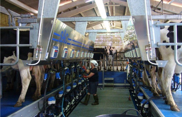 ordeño mecanico 620+400