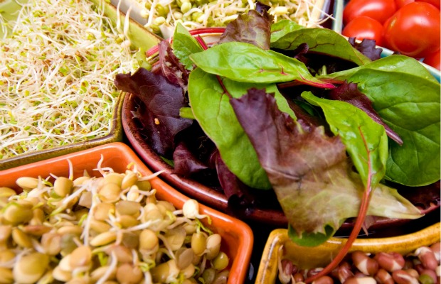 living foods sprouts 620+400