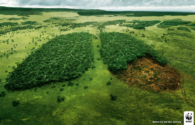 wwf-lungs_2 620+400