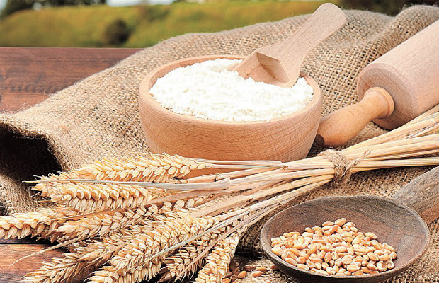 harina refinada de trigo 620+400