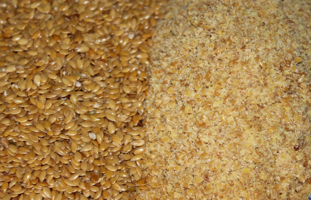 lino y molido 620+400