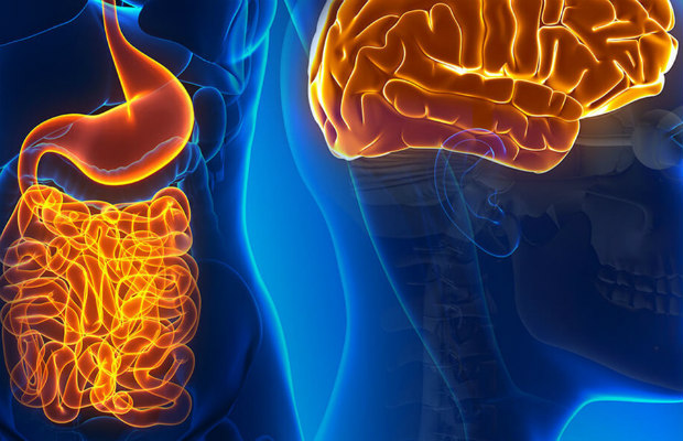 Our-Second-Brain 620+400